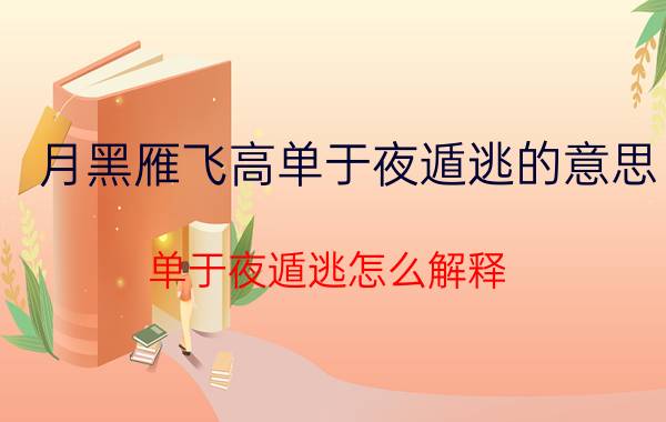 月黑雁飞高单于夜遁逃的意思 单于夜遁逃怎么解释